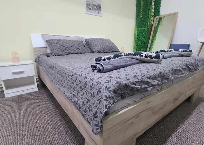 Apartament Stari Zaječar